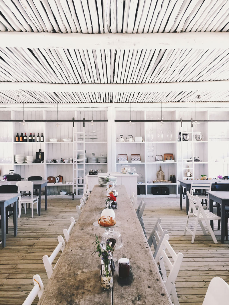 magnolia wordpress theme